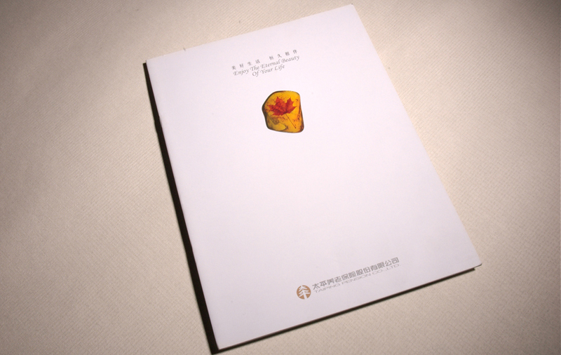 宣傳畫冊設計報價符合要求嗎