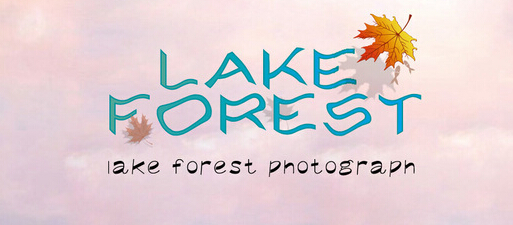 品牌設(shè)計(jì)公司的品牌整體打造