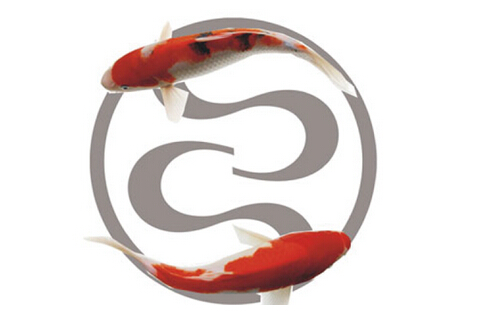 杭州商標(biāo)設(shè)計(jì)公司的經(jīng)驗(yàn)與做法