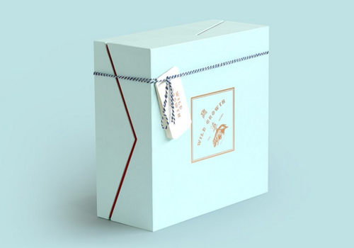 形象包裝設(shè)計的重要意義在現(xiàn)代企業(yè)發(fā)展中的體現(xiàn)