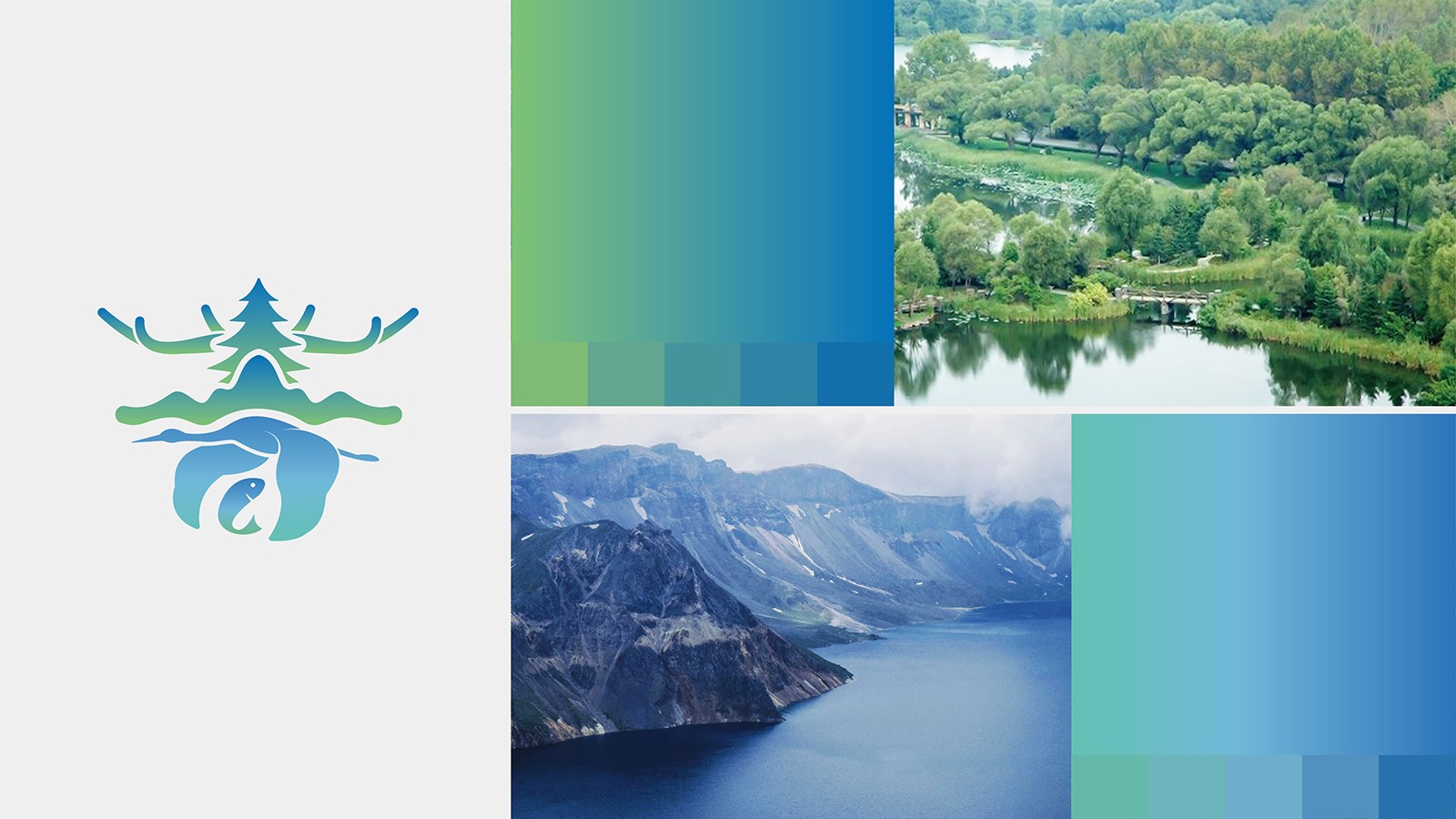 高昂的公司vi設計報價我們應該去堅持嗎？