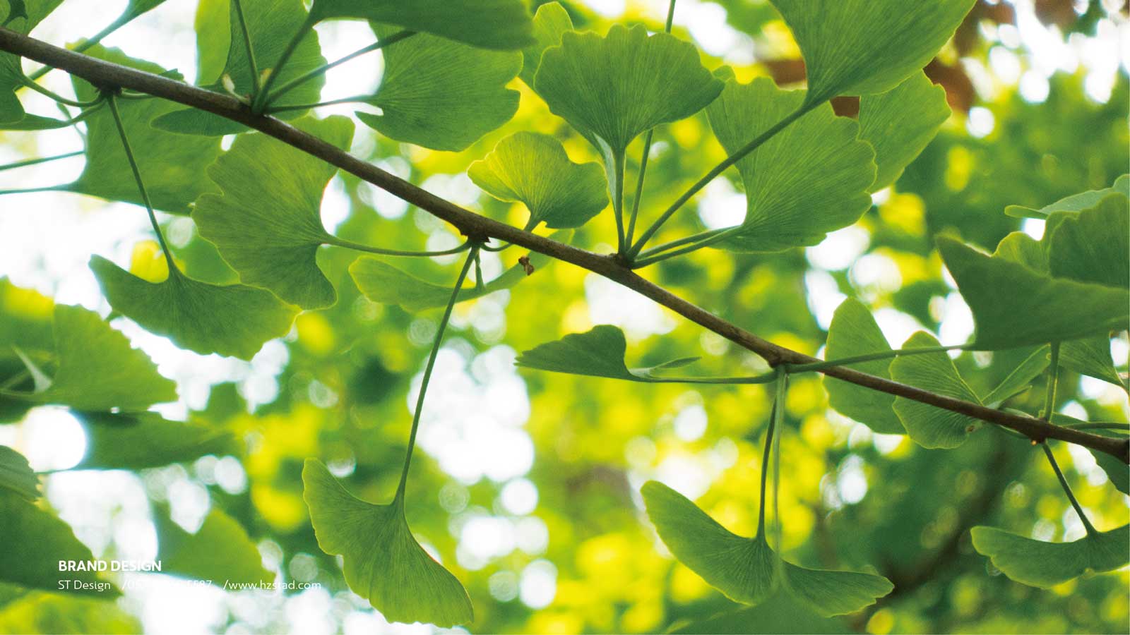 房地產vi設計的幾大重點