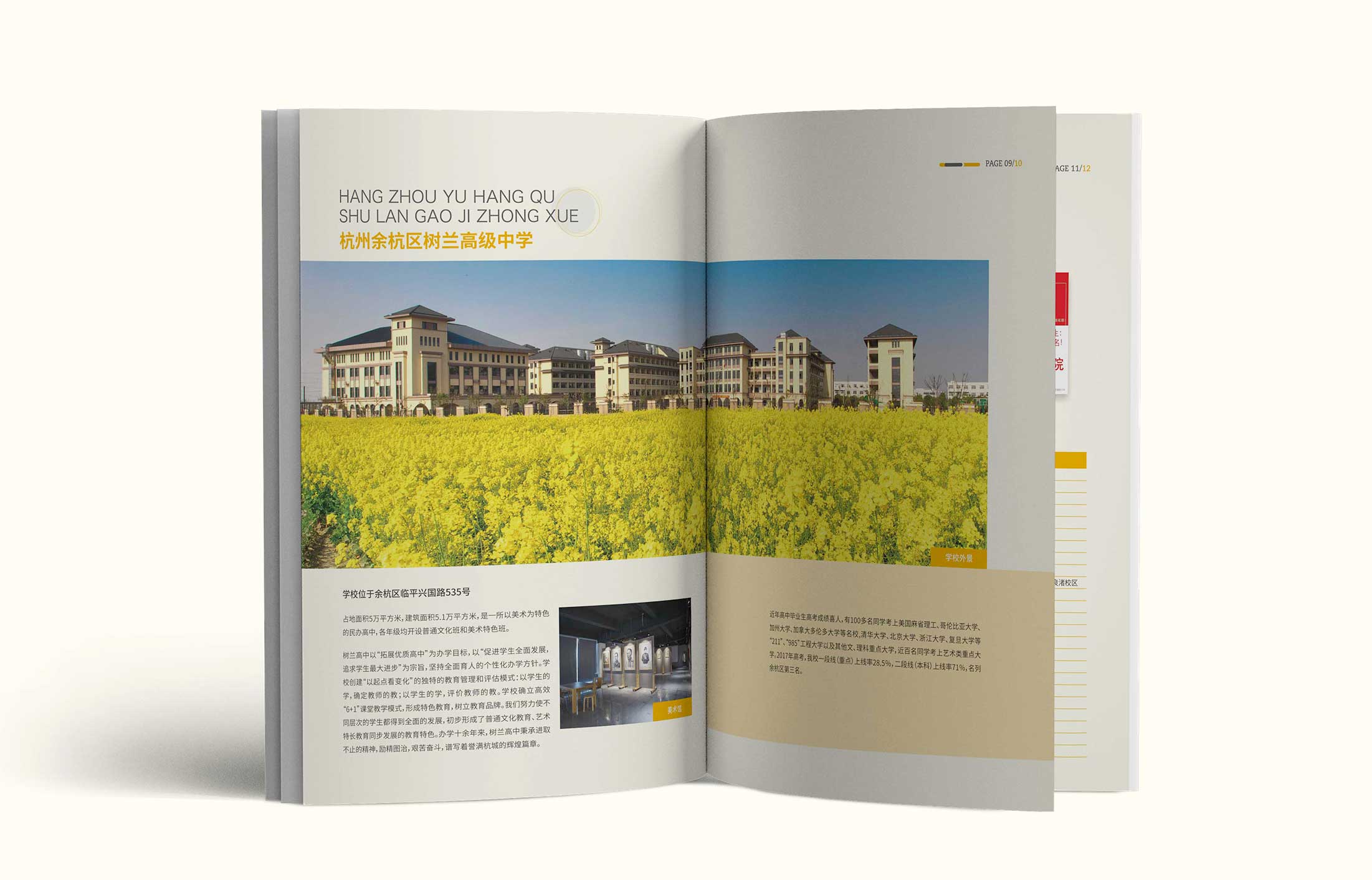 1596525007853917.jpg 2.jpg