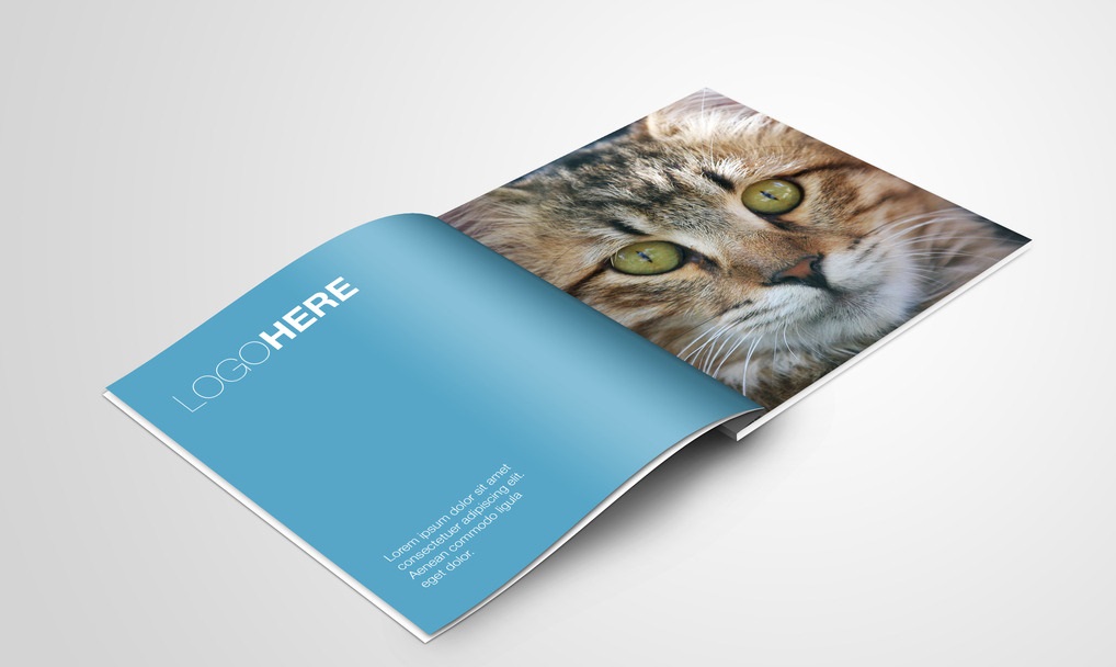 畫冊(cè)設(shè)計(jì) 畫冊(cè)設(shè)計(jì)