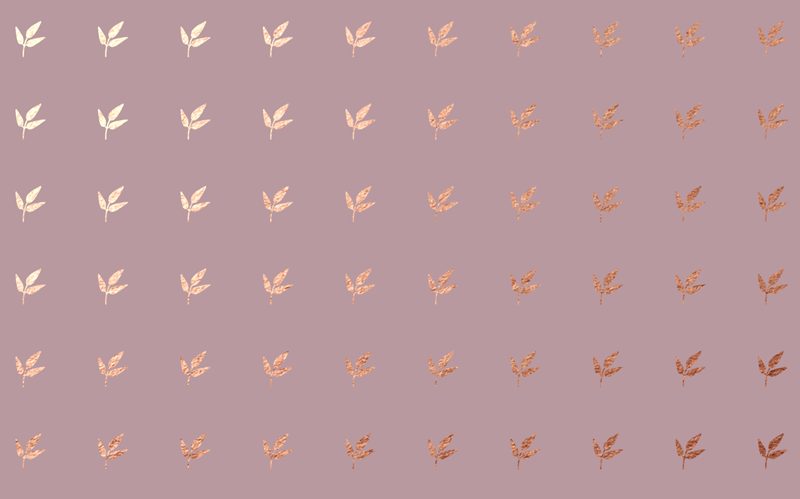 為了博得美人一笑，甜品包裝也是拼了……