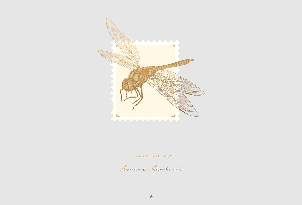 大自然的奇跡，蜻蜓主題的咖啡品牌包裝設計