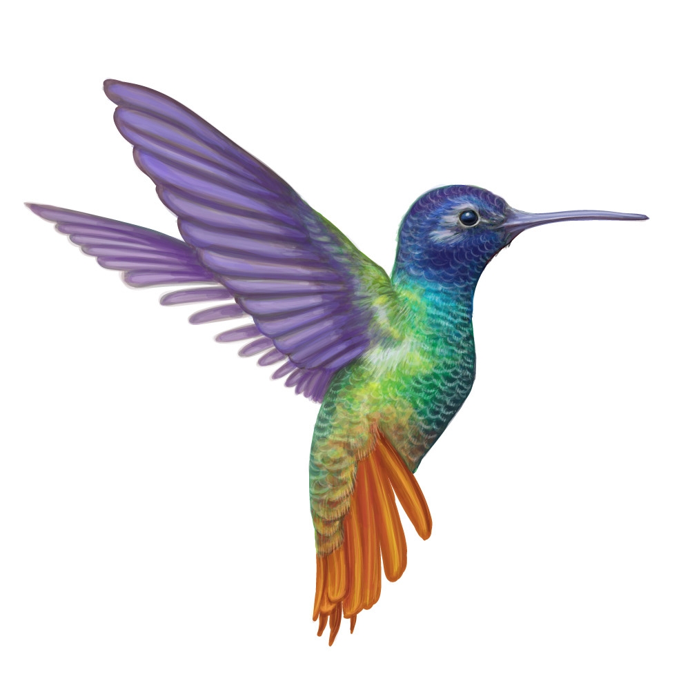 自然界野生動物來體現(xiàn)化妝品的純天然—護膚品包裝設(shè)計