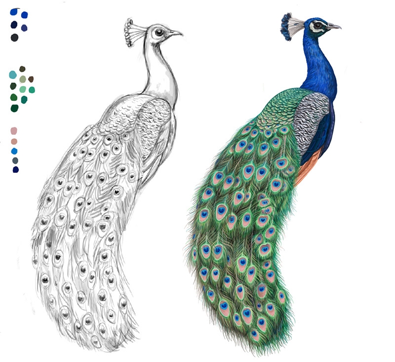 自然界野生動物來體現(xiàn)化妝品的純天然—護膚品包裝設(shè)計