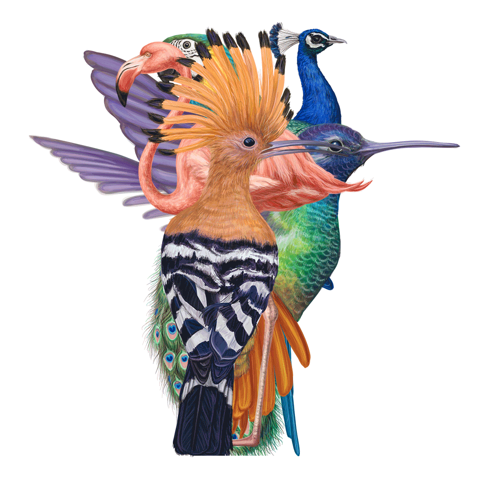 自然界野生動物來體現(xiàn)化妝品的純天然—護膚品包裝設(shè)計