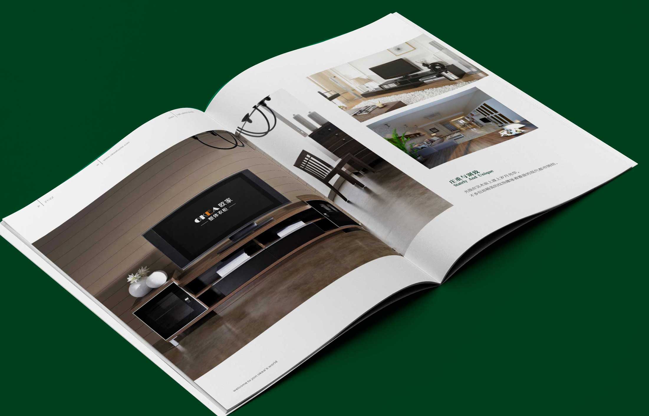 安徽新遠(yuǎn)大集團(tuán)畫(huà)冊(cè)