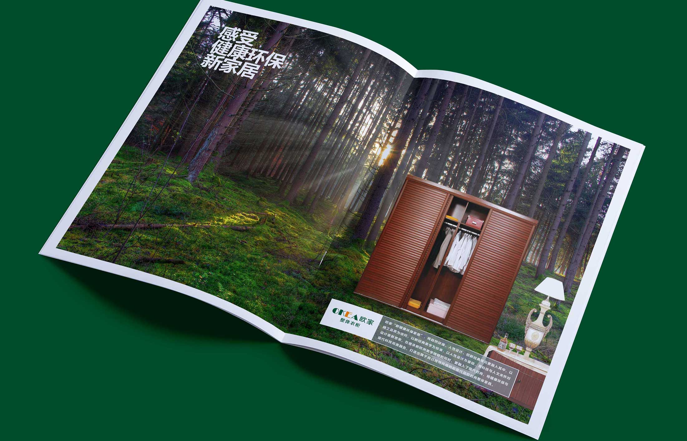 安徽新遠(yuǎn)大集團(tuán)畫(huà)冊(cè)